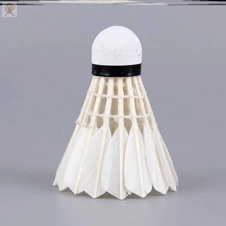 1 badminton